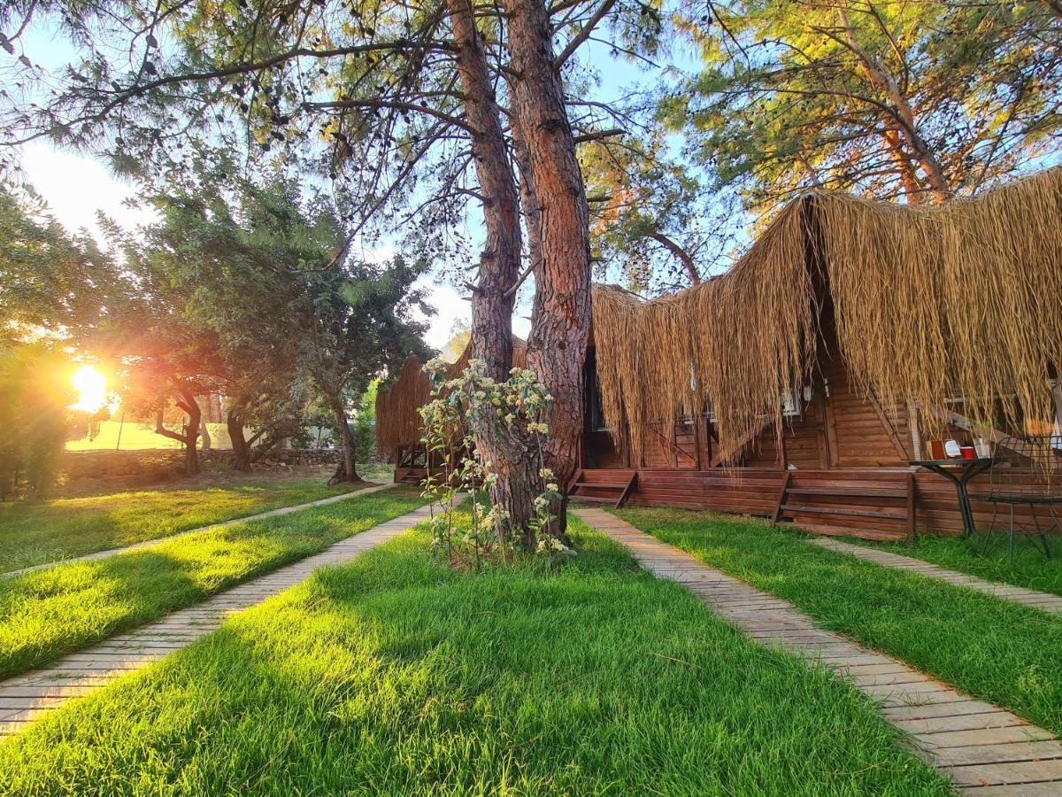 Green Pine Bungalows & Beach Luxury Concept Oludeniz Exterior photo